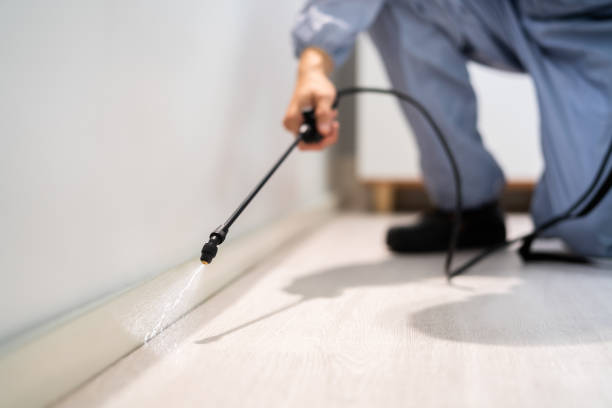 Licensed Termite Control service in Jefferson, IA - Nex Pest Control