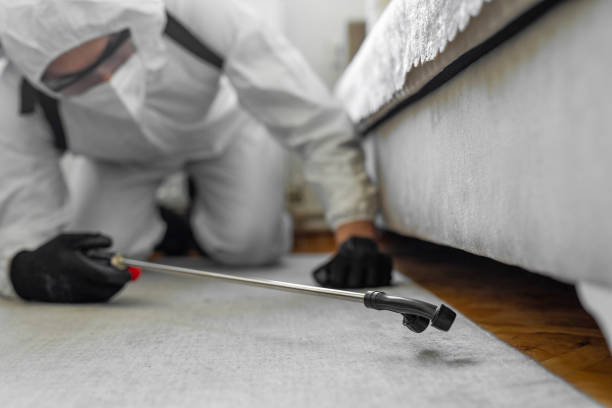 Professional Termite Control technician working in Jefferson, IA